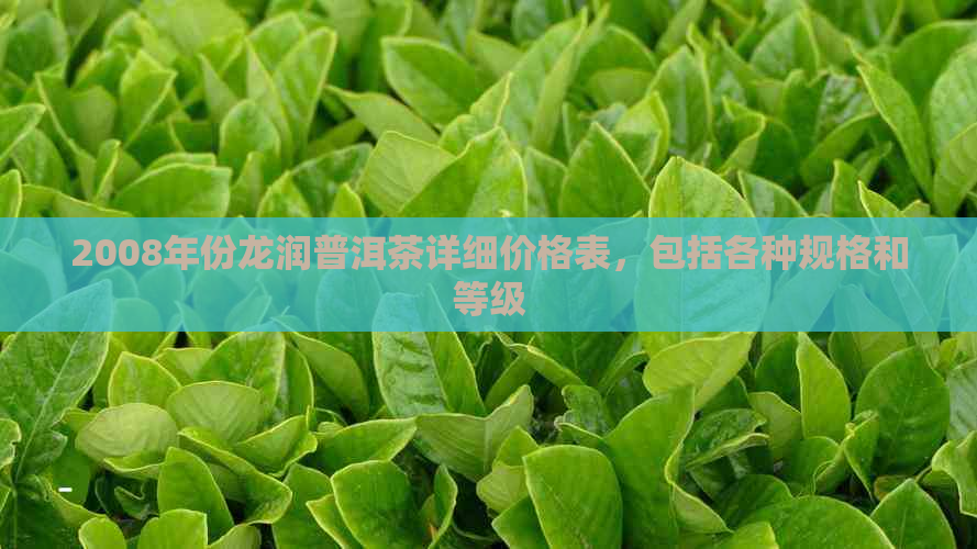 2008年份龙润普洱茶详细价格表，包括各种规格和等级