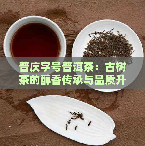 普庆字号普洱茶：古树茶的醇香传承与品质升华