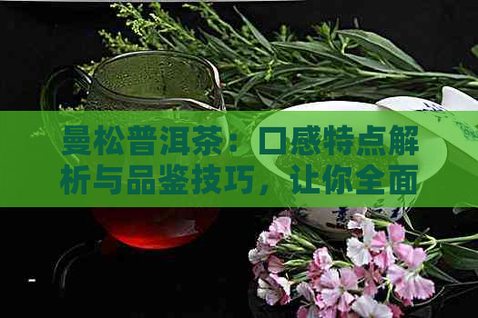 曼松普洱茶：口感特点解析与品鉴技巧，让你全面了解这种独特茶的魅力