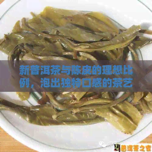 新普洱茶与陈皮的理想比例，泡出独特口感的茶艺秘诀