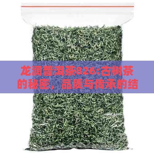 龙润普洱茶826:古树茶的秘密，品质与传承的结合