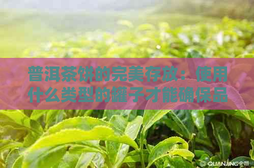 普洱茶饼的完美存放：使用什么类型的罐子才能确保品质和风味？