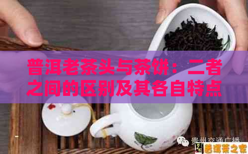 普洱老茶头与茶饼：二者之间的区别及其各自特点解析