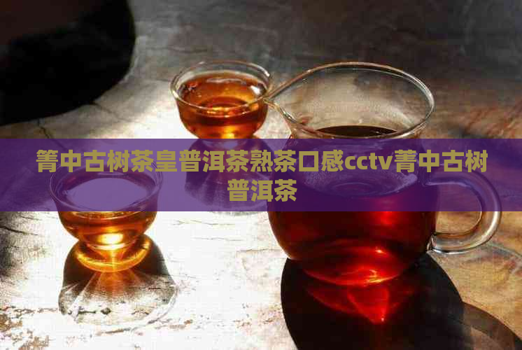 箐中古树茶皇普洱茶熟茶口感cctv菁中古树普洱茶