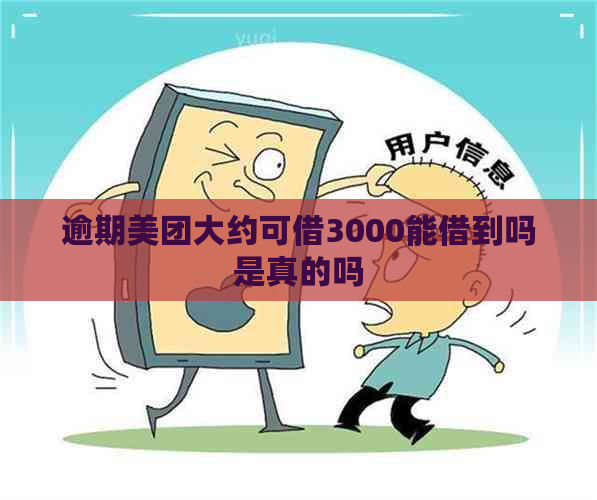 逾期美团大约可借3000能借到吗是真的吗