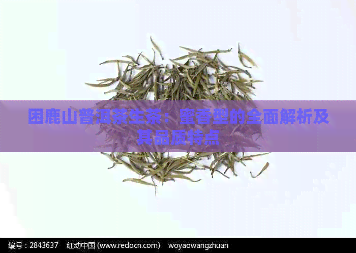 困鹿山普洱茶生茶：蜜香型的全面解析及其品质特点