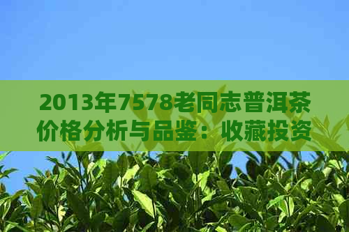 2013年7578老同志普洱茶价格分析与品鉴：收藏投资的指南