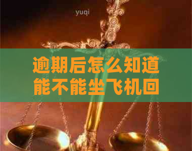 逾期后怎么知道能不能坐飞机回家？网贷逾期如何查看能否乘坐飞机及高铁？