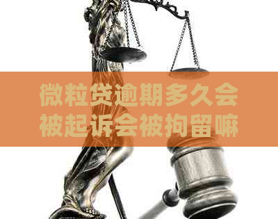 微粒贷逾期多久会被起诉会被拘留嘛？