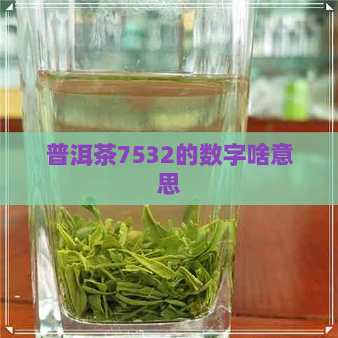 普洱茶7532的数字啥意思