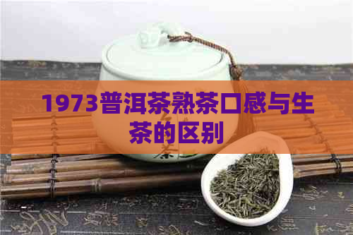 1973普洱茶熟茶口感与生茶的区别