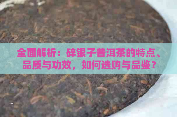 全面解析：碎银子普洱茶的特点、品质与功效，如何选购与品鉴？