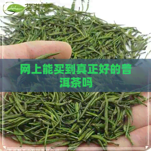 网上能买到真正好的普洱茶吗