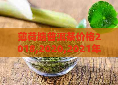 薄荷塘普洱茶价格2018,2020,2021年多少钱？