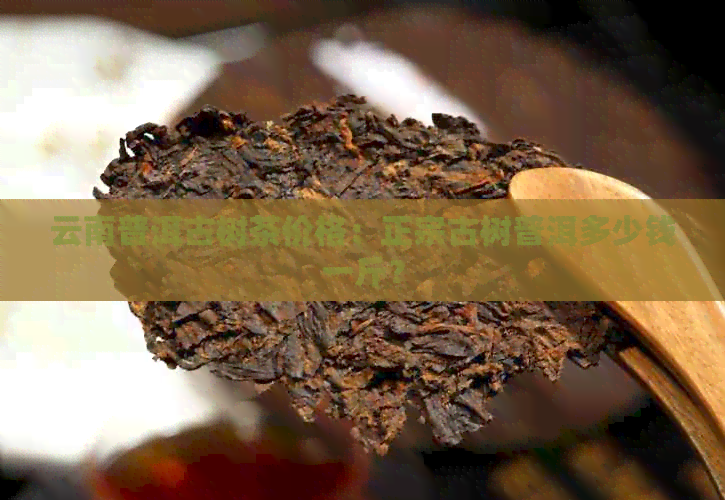 云南普洱古树茶价格：正宗古树普洱多少钱一斤？