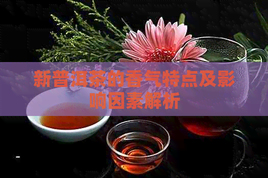 新普洱茶的香气特点及影响因素解析