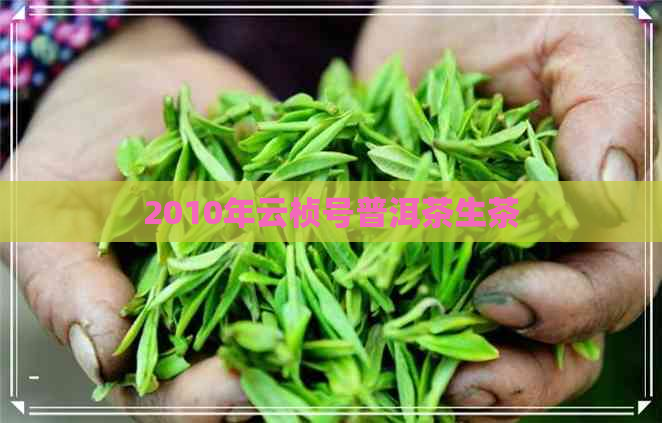 2010年云桢号普洱茶生茶