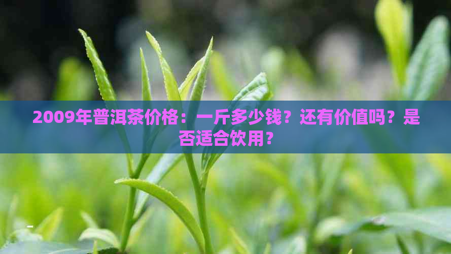 2009年普洱茶价格：一斤多少钱？还有价值吗？是否适合饮用？