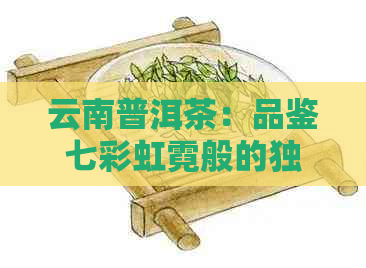 云南普洱茶：品鉴七彩虹霓般的独特风味与品质