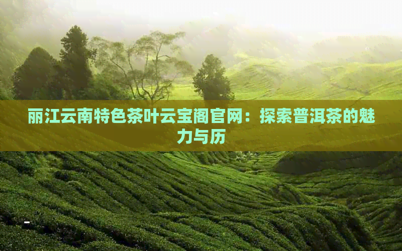 丽江云南特色茶叶云宝阁官网：探索普洱茶的魅力与历