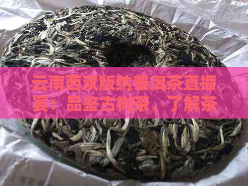 云南西双版纳普洱茶直播宴：品鉴古树茶、了解茶文化与收藏技巧