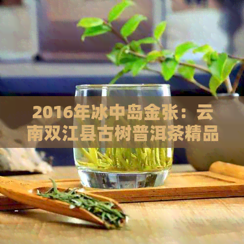 2016年冰中岛金张：云南双江县古树普洱茶精品，茶叶批发价格