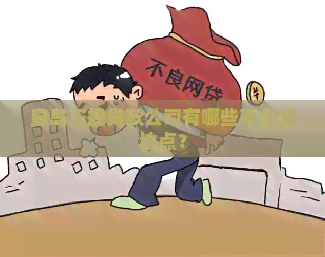 皇岛正规贷款公司有哪些平台或地点？