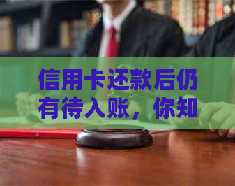 信用卡还款后仍有待入账，你知道原因吗？