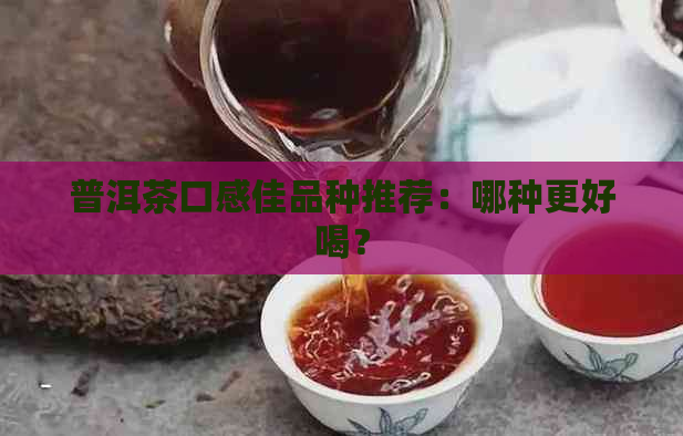 普洱茶口感佳品种推荐：哪种更好喝？