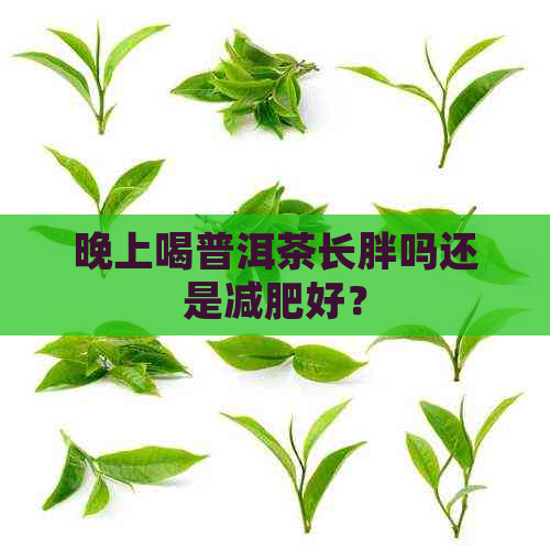 晚上喝普洱茶长胖吗还是减肥好？