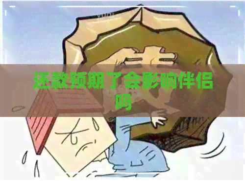 还款预期了会影响伴侣吗