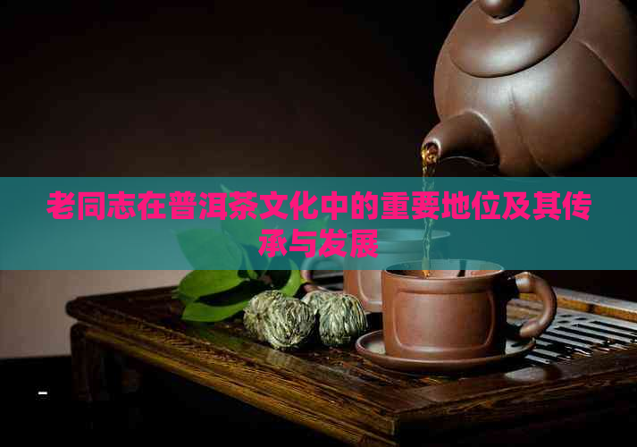 老同志在普洱茶文化中的重要地位及其传承与发展