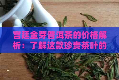 宫廷金芽普洱茶的价格解析：了解这款珍贵茶叶的价值与市场行情