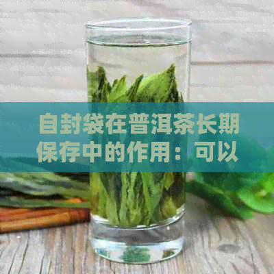 自封袋在普洱茶长期保存中的作用：可以吗？