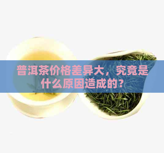 普洱茶价格差异大，究竟是什么原因造成的？