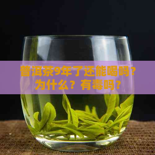 普洱茶9年了还能喝吗？为什么？有吗？