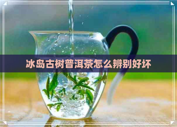 冰岛古树普洱茶怎么辨别好坏