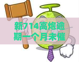 新714搞炮逾期一个月未的原因与解决办法，用户必看