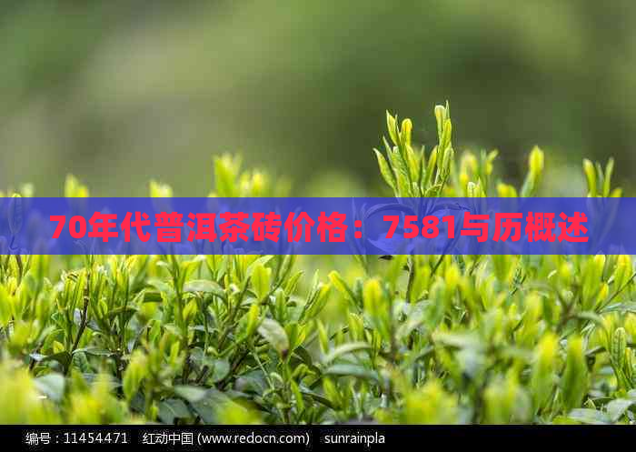 70年代普洱茶砖价格：7581与历概述