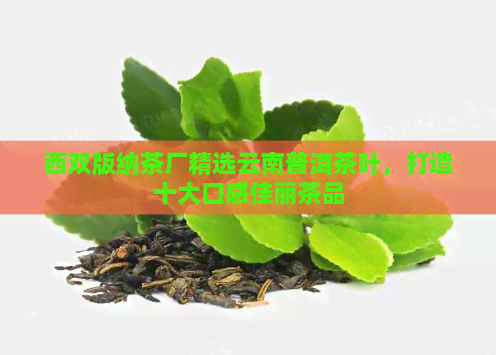 西双版纳茶厂精选云南普洱茶叶，打造十大口感佳丽茶品