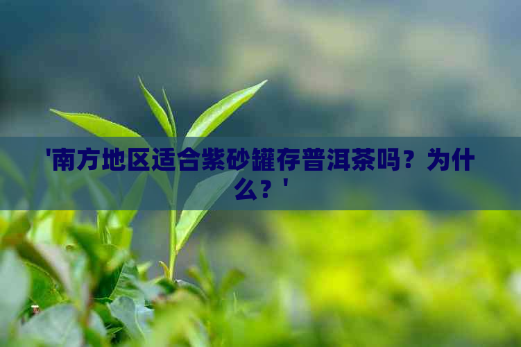 '南方地区适合紫砂罐存普洱茶吗？为什么？'