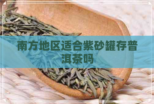 南方地区适合紫砂罐存普洱茶吗