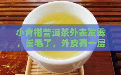 小青柑普洱茶外表发霉，长毛了，外皮有一层白霜是发霉吗？