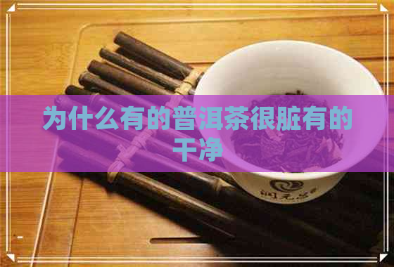 为什么有的普洱茶很脏有的干净