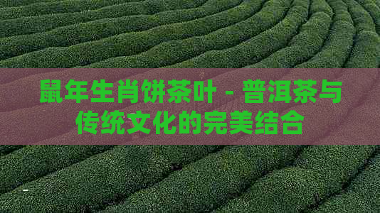 鼠年生肖饼茶叶 - 普洱茶与传统文化的完美结合