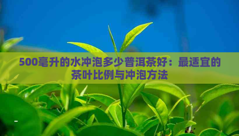 500毫升的水冲泡多少普洱茶好：最适宜的茶叶比例与冲泡方法