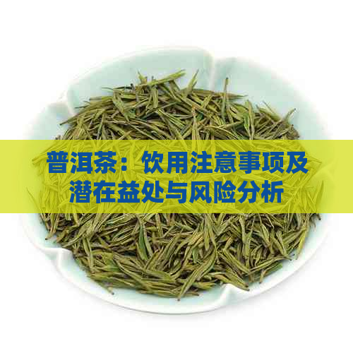 普洱茶：饮用注意事项及潜在益处与风险分析