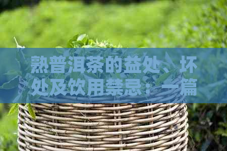 熟普洱茶的益处、坏处及饮用禁忌：一篇全面解析