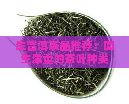 生普洱茶品推荐：回生津重的茶叶种类及其特点详解