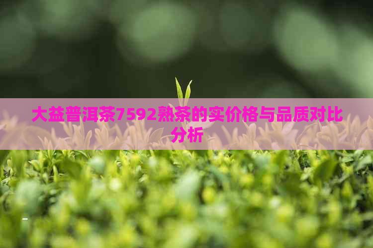 大益普洱茶7592熟茶的实价格与品质对比分析